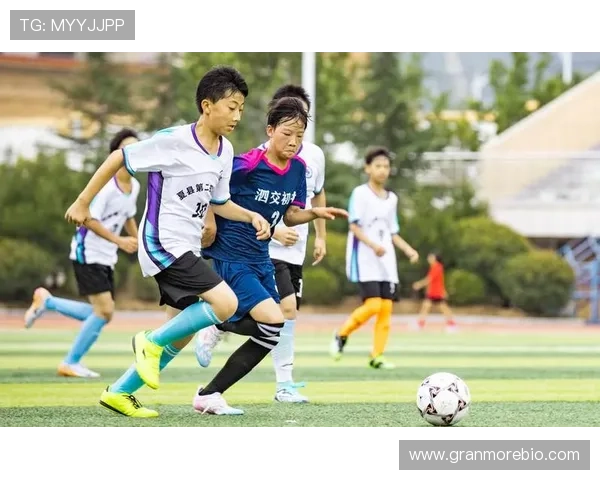 超级足球星荣耀时刻追梦绿茵场展现非凡实力与无限激情 超级足球星荣耀时刻追梦绿茵场展现非凡实力与无限激情