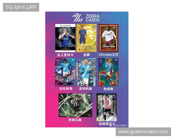 足球球星卡价格如何变化 是否值得投资收藏的全面分析 足球球星卡价格如何变化 是否值得投资收藏的全面分析